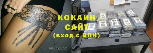 mdpv Бородино