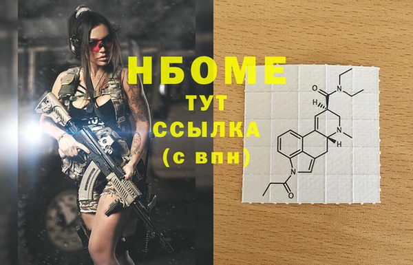 mdpv Бородино